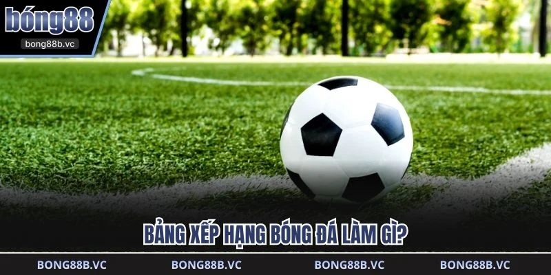 Bảng xếp hạng bóng đá làm gì?