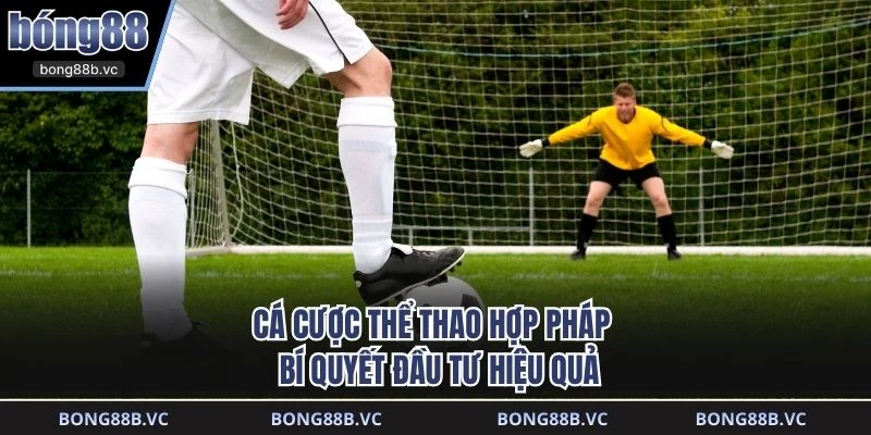 Cá cược thể thao hợp pháp