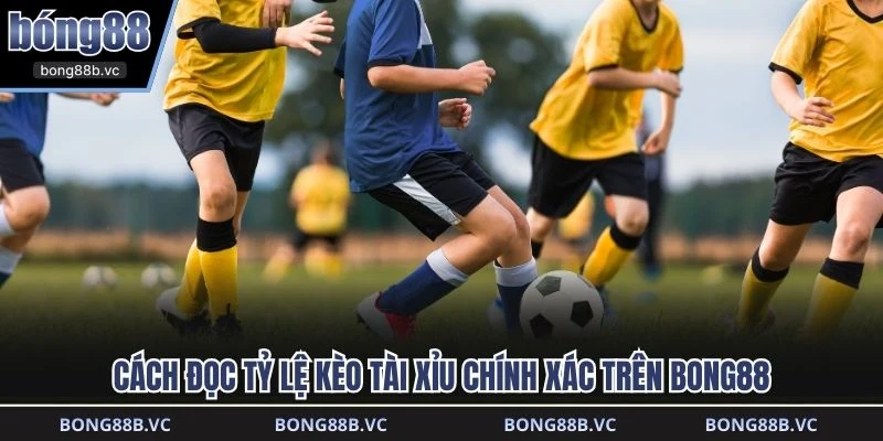 Cách đọc tỷ lệ kèo tài xỉu chính xác trên BONG88