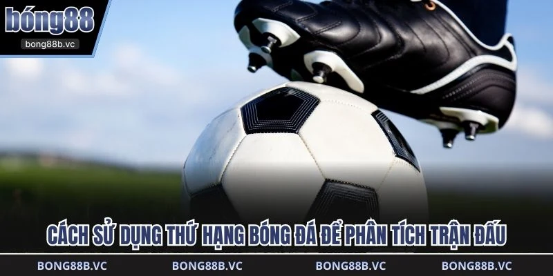 Cách sử dụng thứ hạng bóng đá để phân tích trận đấu