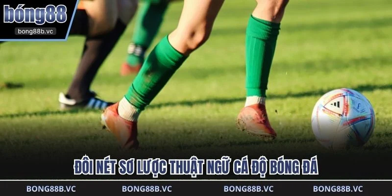 Đôi nét sơ lược thuật ngữ cá độ bóng đá