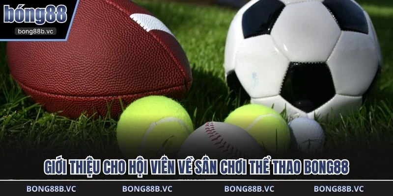 Giới thiệu cho hội viên về sân chơi thể thao BONG88