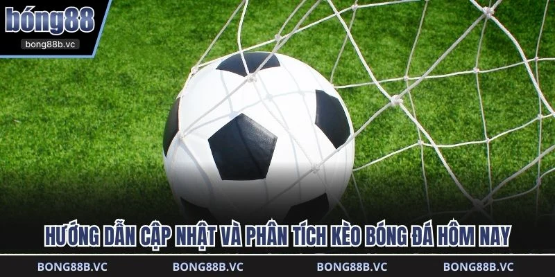 Hướng dẫn cập nhật và phân tích kèo bóng đá hôm nay