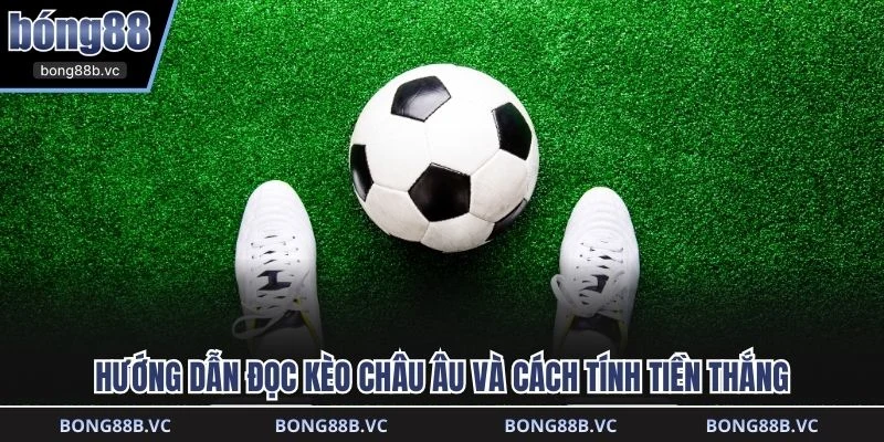 Hướng dẫn đọc kèo châu Âu và cách tính tiền thắng