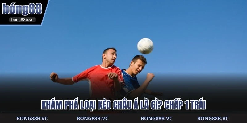 Khám phá loại kèo châu á là gì chấp 1 trái