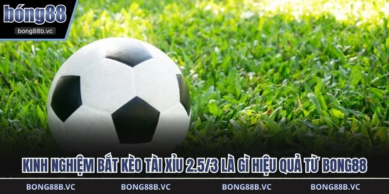 Kinh nghiệm bắt kèo tài xỉu 2.5/3 là gì hiệu quả từ BONG88