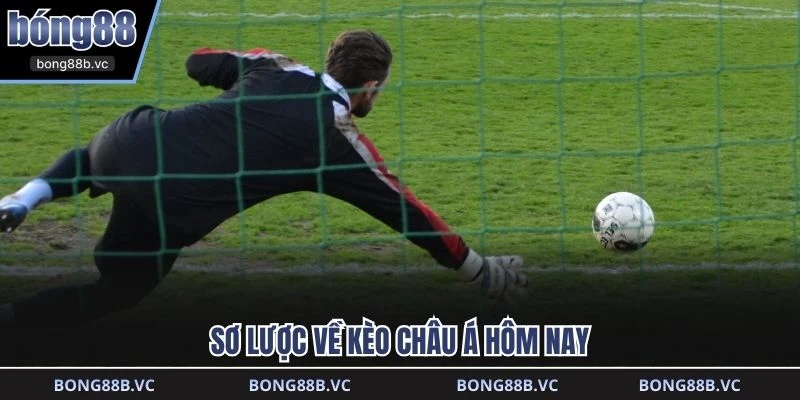 Sơ lược về kèo châu á hôm nay