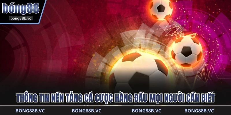 Thông tin nền tảng cá cược hàng đầu mọi người cần biết