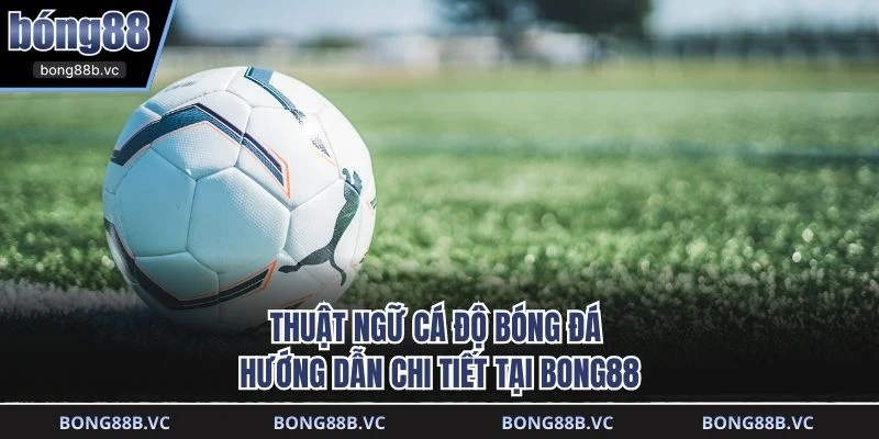 Thuật ngữ cá độ bóng đá