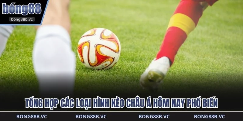 Tổng hợp các loại hình kèo châu á hôm nay phổ biến