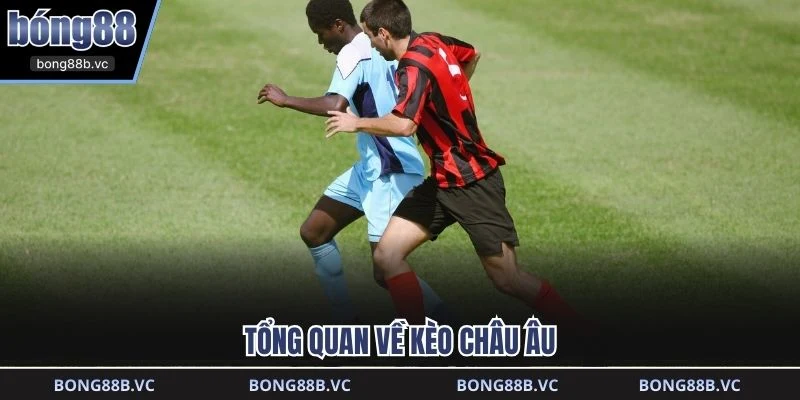 Tổng quan về kèo châu Âu